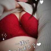 ヒメ日記 2026/03/13 19:39 投稿 みや 愛媛松山ちゃんこ