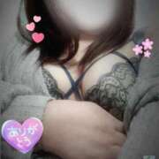 ヒメ日記 2026/04/17 09:39 投稿 みや 愛媛松山ちゃんこ