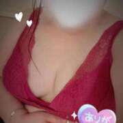 ヒメ日記 2026/04/20 11:09 投稿 みや 愛媛松山ちゃんこ