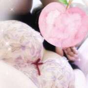 ヒメ日記 2026/04/21 21:29 投稿 みや 愛媛松山ちゃんこ