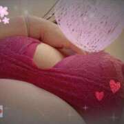 ヒメ日記 2026/04/23 12:29 投稿 みや 愛媛松山ちゃんこ