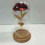 ヒメ日記 2025/05/11 16:40 投稿 岡田みさと 五十路マダム 浜松店(カサブランカグループ)