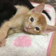 ヒメ日記 2025/05/17 14:10 投稿 岡田みさと 五十路マダム 浜松店(カサブランカグループ)