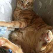 ヒメ日記 2025/06/05 16:18 投稿 岡田みさと 五十路マダム 浜松店(カサブランカグループ)