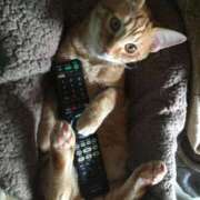 ヒメ日記 2025/06/28 13:20 投稿 岡田みさと 五十路マダム 浜松店(カサブランカグループ)