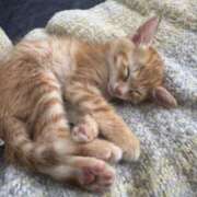 ヒメ日記 2025/07/06 10:28 投稿 岡田みさと 五十路マダム 浜松店(カサブランカグループ)