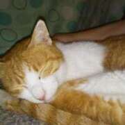 岡田みさと 明日終わりの時間 五十路マダム 浜松店(カサブランカグループ)