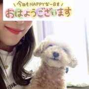 ヒメ日記 2025/08/05 08:40 投稿 橋本じゅり(はしもとじゅり) 鶯谷ナンバーワン