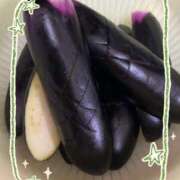 ヒメ日記 2025/08/18 12:20 投稿 橋本じゅり(はしもとじゅり) 鶯谷ナンバーワン