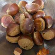 ヒメ日記 2025/11/04 19:50 投稿 橋本じゅり(はしもとじゅり) 鶯谷ナンバーワン