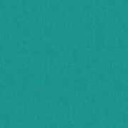 ヒメ日記 2025/11/21 06:20 投稿 橋本じゅり(はしもとじゅり) 鶯谷ナンバーワン