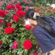 橋本じゅり(はしもとじゅり) 🌹🌸〜香りの余韻〜🌻💐 鶯谷ナンバーワン