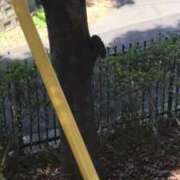 橋本じゅり(はしもとじゅり) ちょっと特別な瞬間🐿️✨ 鶯谷ナンバーワン