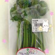 ヒメ日記 2026/04/05 12:20 投稿 橋本じゅり(はしもとじゅり) 鶯谷ナンバーワン