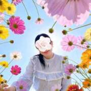 ヒメ日記 2026/04/12 07:20 投稿 橋本じゅり(はしもとじゅり) 鶯谷ナンバーワン