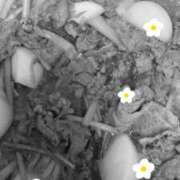 ヒメ日記 2026/04/18 12:50 投稿 橋本じゅり(はしもとじゅり) 鶯谷ナンバーワン