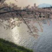 ヒメ日記 2026/04/25 21:35 投稿 橋本じゅり(はしもとじゅり) 鶯谷ナンバーワン