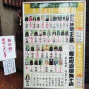 ヒメ日記 2026/05/07 12:55 投稿 橋本じゅり(はしもとじゅり) 鶯谷ナンバーワン