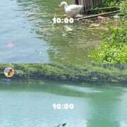 橋本じゅり(はしもとじゅり) 🚃〜ヨッサム〜チャムシル〜安国〜🚃 鶯谷ナンバーワン