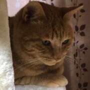 ヒメ日記 2025/06/30 11:44 投稿 ここあ 池袋マリン別館