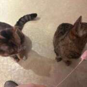 ヒメ日記 2025/10/30 18:05 投稿 ここあ 池袋マリン別館