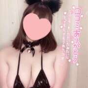 ヒメ日記 2025/05/20 14:49 投稿 あめ 大阪和泉ちゃんこ