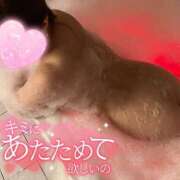 ヒメ日記 2025/06/11 17:59 投稿 あめ 大阪和泉ちゃんこ