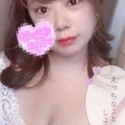 ヒメ日記 2025/09/02 12:09 投稿 あめ 大阪和泉ちゃんこ