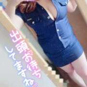 ヒメ日記 2025/09/03 10:19 投稿 あめ 大阪和泉ちゃんこ