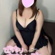 ヒメ日記 2025/09/10 11:39 投稿 あめ 大阪和泉ちゃんこ