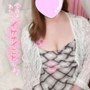 ヒメ日記 2025/09/11 16:19 投稿 あめ 大阪和泉ちゃんこ