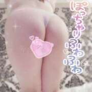 ヒメ日記 2025/09/14 16:19 投稿 あめ 大阪和泉ちゃんこ