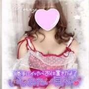 ヒメ日記 2025/11/11 12:09 投稿 あめ 大阪和泉ちゃんこ