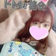 ヒメ日記 2025/11/12 12:49 投稿 あめ 大阪和泉ちゃんこ