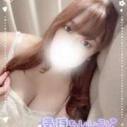 ヒメ日記 2025/11/15 10:49 投稿 あめ 大阪和泉ちゃんこ