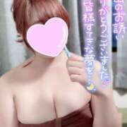 ヒメ日記 2025/11/15 17:09 投稿 あめ 大阪和泉ちゃんこ