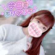 ヒメ日記 2025/11/26 11:39 投稿 あめ 大阪和泉ちゃんこ