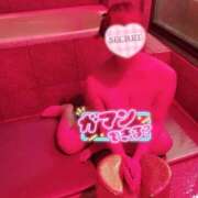 ヒメ日記 2025/11/26 21:09 投稿 あめ 大阪和泉ちゃんこ