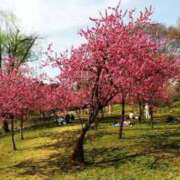 ヒメ日記 2025/06/14 12:35 投稿 まみ 素人ぶっかけ〇〇取手店