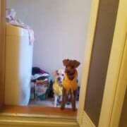 ヒメ日記 2025/07/12 12:04 投稿 まみ 素人ぶっかけ〇〇取手店