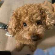 ヒメ日記 2025/12/09 12:00 投稿 まみ 素人ぶっかけ〇〇取手店