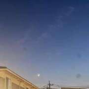 ヒメ日記 2025/07/28 08:57 投稿 やよい先生 クラスメイト