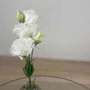 ヒメ日記 2025/05/28 08:49 投稿 やよい先生 美少女制服学園CLASSMATE　五反田校