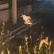 ヒメ日記 2025/10/08 08:43 投稿 やよい先生 美少女制服学園CLASSMATE　五反田校