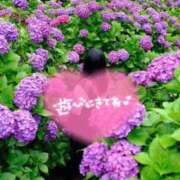 ヒメ日記 2025/11/20 00:37 投稿 さや 宮崎ちゃんこ中央通店