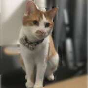 ヒメ日記 2025/07/05 13:50 投稿 あかね ドM女学園大阪