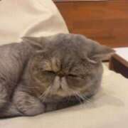 ヒメ日記 2026/01/30 20:42 投稿 あかね ドM女学園大阪