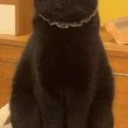 ヒメ日記 2026/02/08 14:01 投稿 あかね ドM女学園大阪