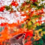 日茉梨(ひまり) 寂しい秋 人妻出逢い会 百合の園 品川店