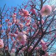 ヒメ日記 2026/03/02 09:36 投稿 日茉梨(ひまり) 人妻出逢い会 百合の園 品川店